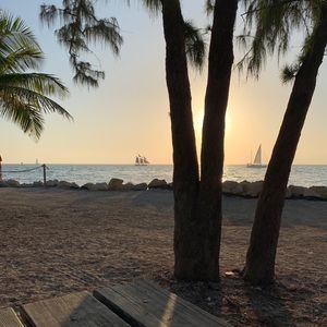 Meet your Posher, Maddie